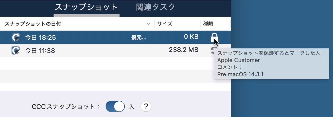保護されたスナップショットのコメントを表示