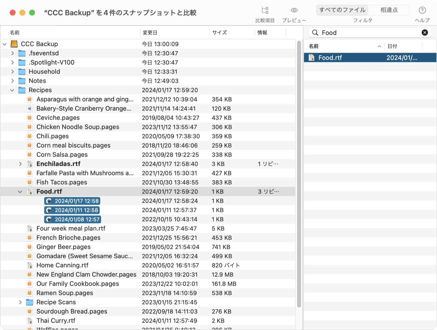 スナップショット内のコンテンツの閲覧と検索